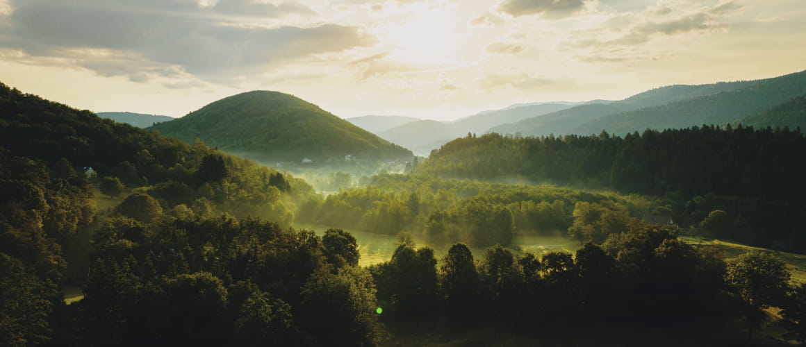 Vosges du Sud