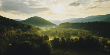Vosges du Sud