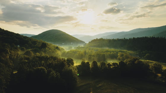 Vosges du Sud