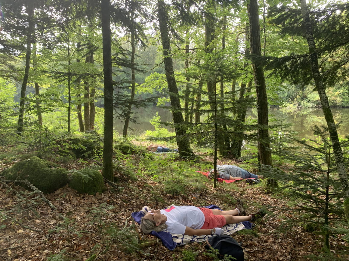 Bain de forêt Ronchamp