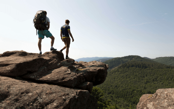 Traversée du Massif des Vosges & séjours