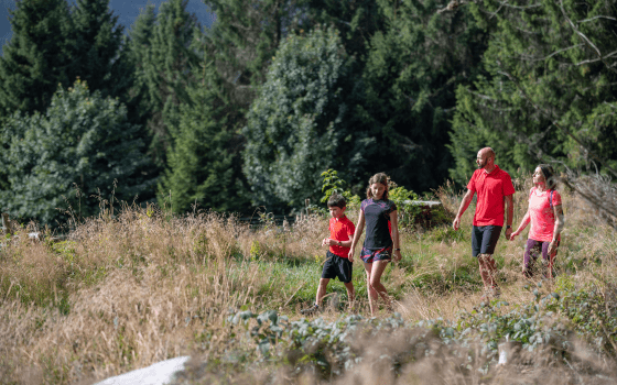 Randonnée dans le massif des vosges avec la malle postale