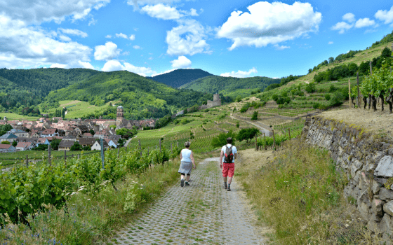 séjour pédestre dans la vallée de Kaysersberg
