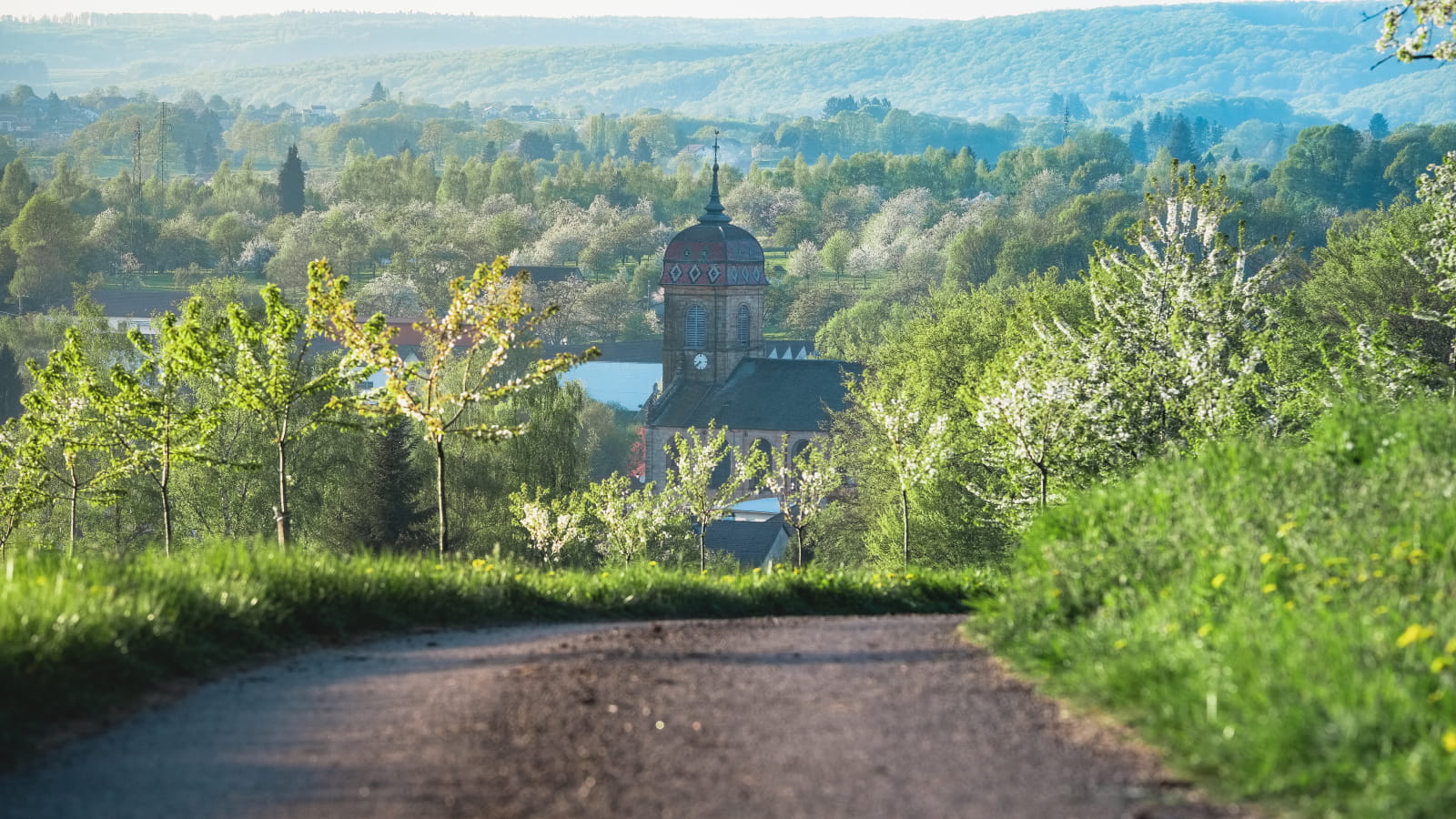 cerisiers en fleurs printemps vosges du sud luxeuil fougerolles soleil