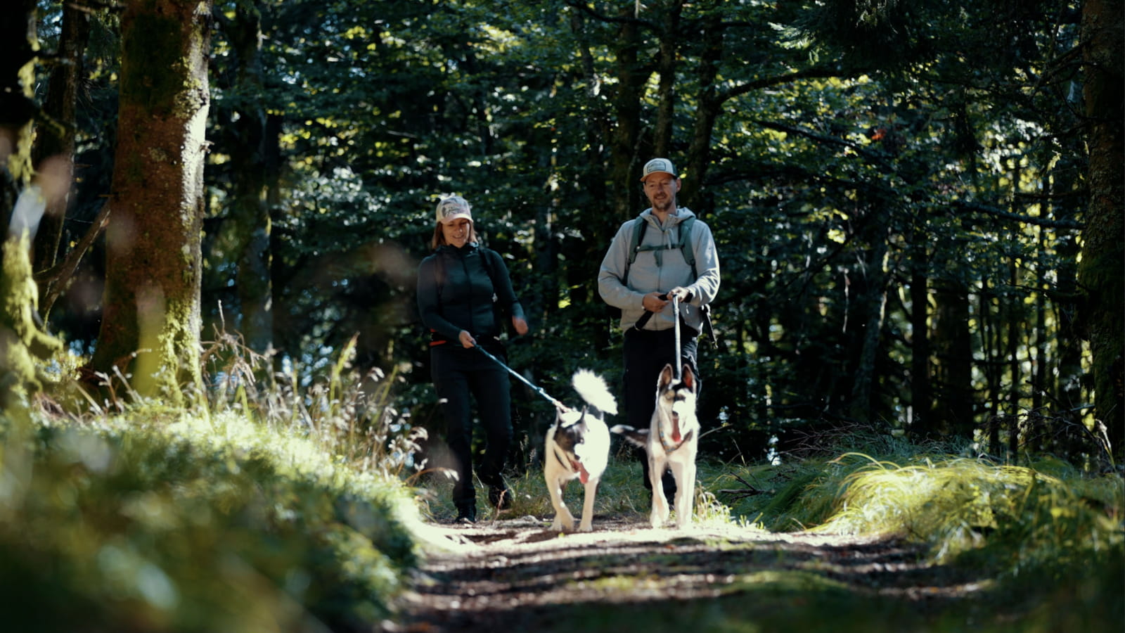 Cani-rando Vosges