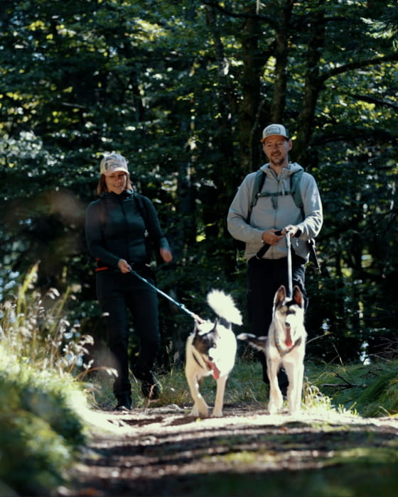 Cani-rando Vosges
