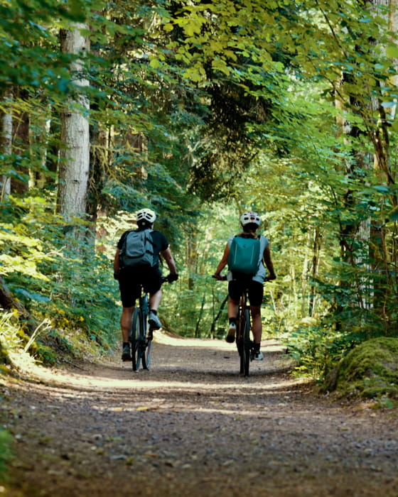 Vélo Vosges du Sud