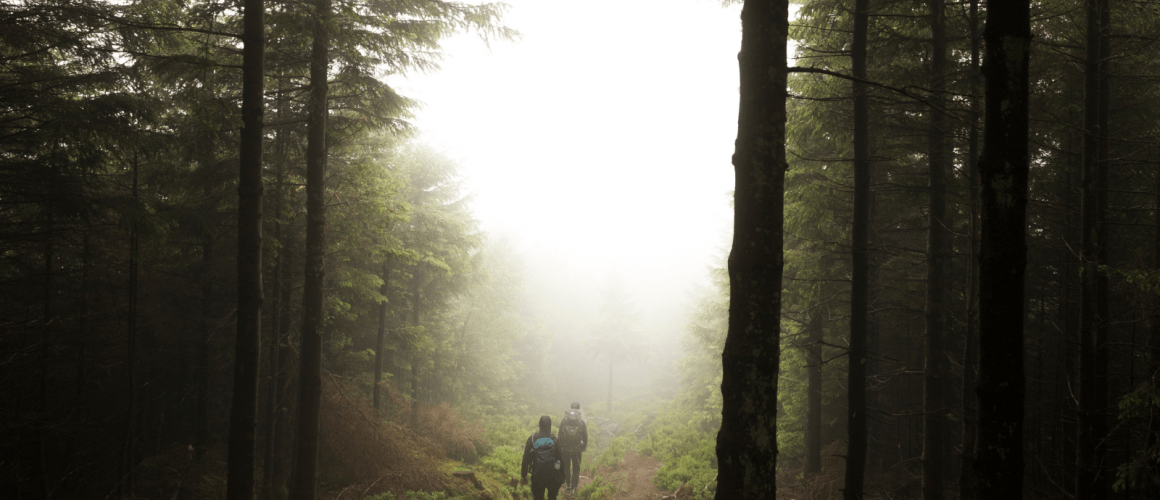 Randonnées à travers le Massif des Vosges sans ma voiture