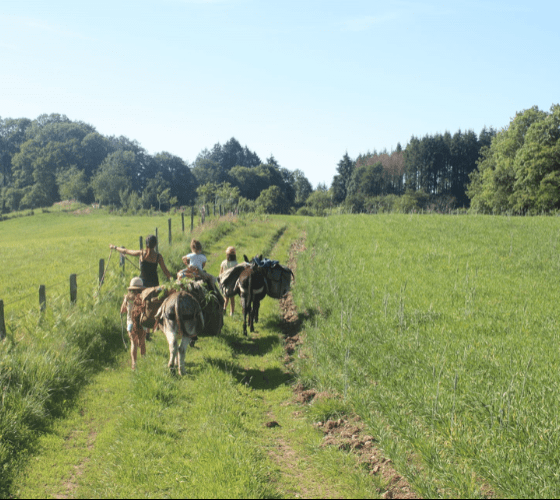 Activités et animaux en famille dans le Massif des Vosges