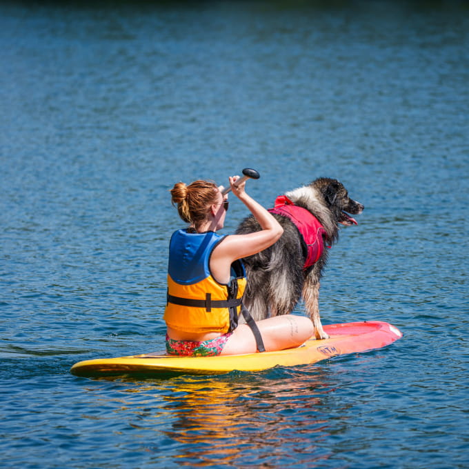 Cani-paddle Saline de Lure base de loisirs chiens activités