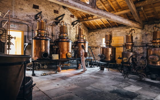 Ecomusée de la cerise luxeuil les bains fougerolles vosges du sud cerises