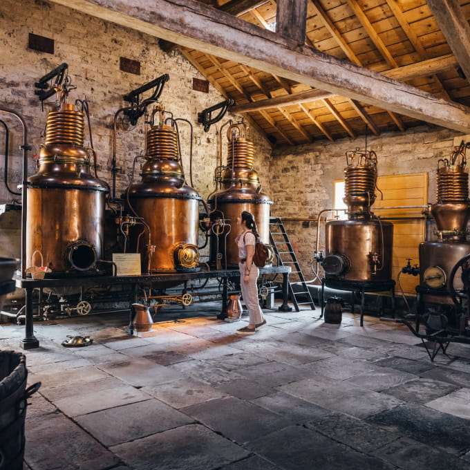 Ecomusée de la cerise luxeuil les bains fougerolles vosges du sud cerises