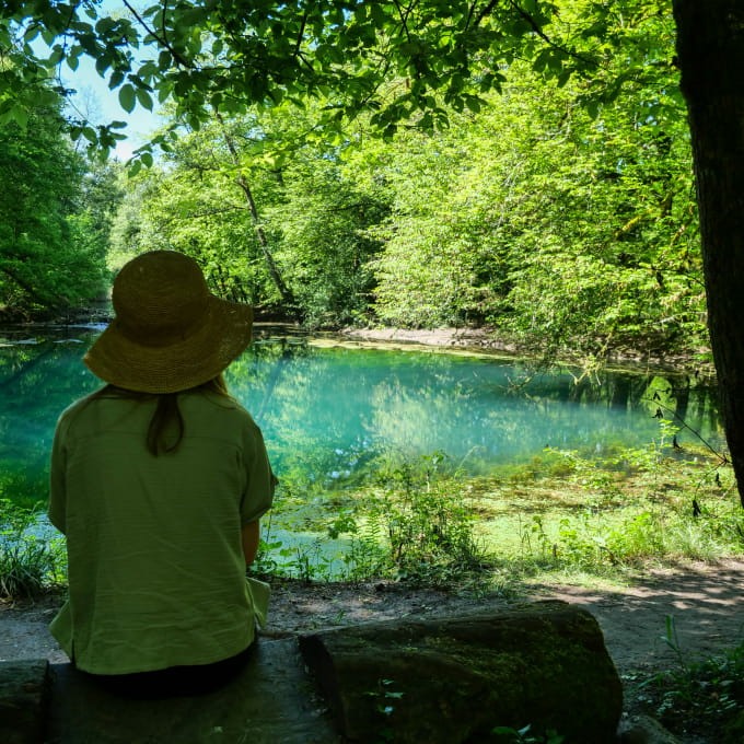 Luxeuil les bains thérapie par les arbres source paysage vosges du sud