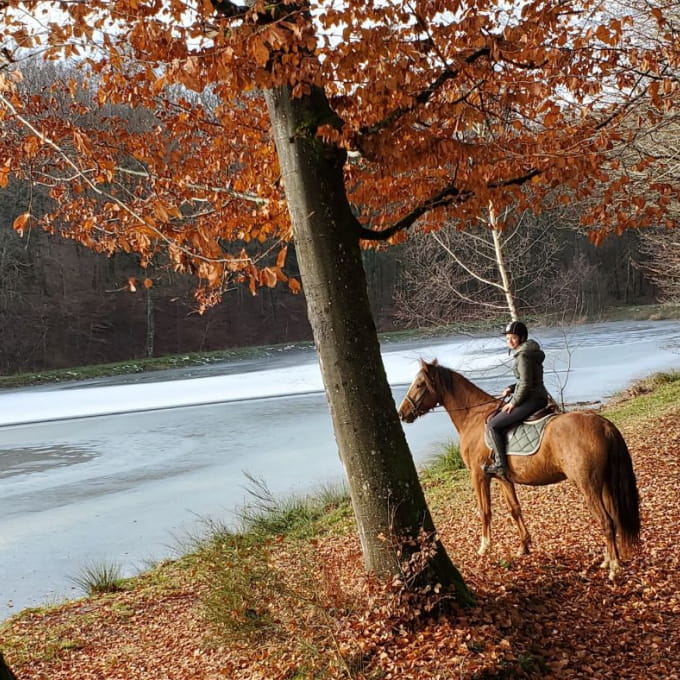 Balade cheval automne vosges du sud eau belfort