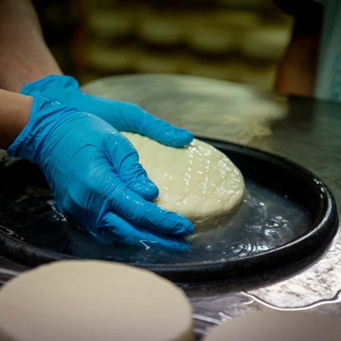 Production de fromages vosges du sud gaec menigoz dégustation visite guidée