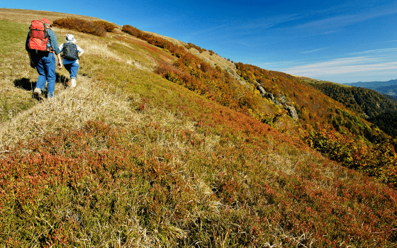 Agence de trek organisé dans le Massif Des Vosges
