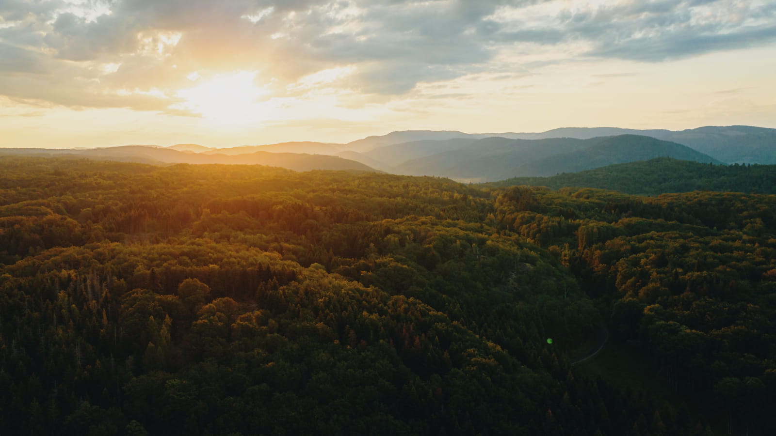 Vue massif des Vosges