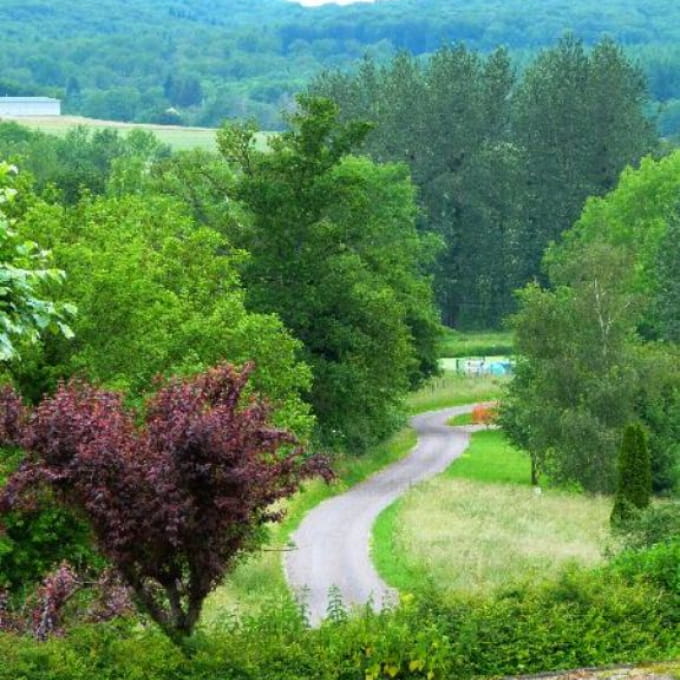 Vue chemin depuis la chambre d'hôtes