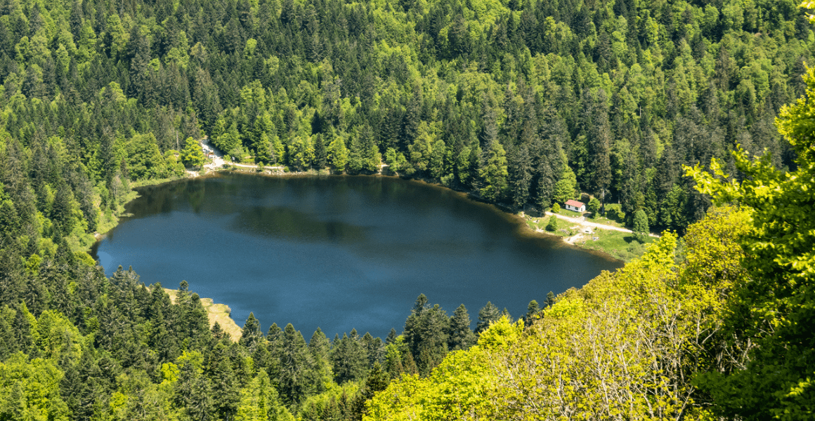 Balade au lac de Blanchermer