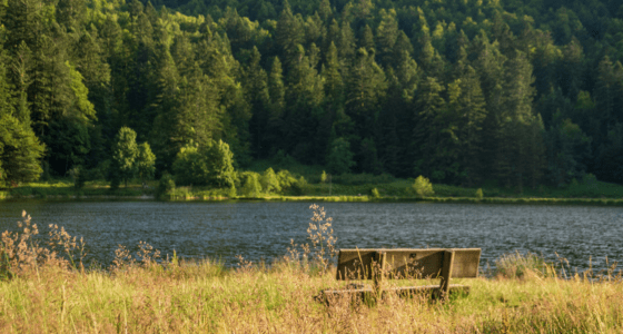 balade en famille au lac de longemer