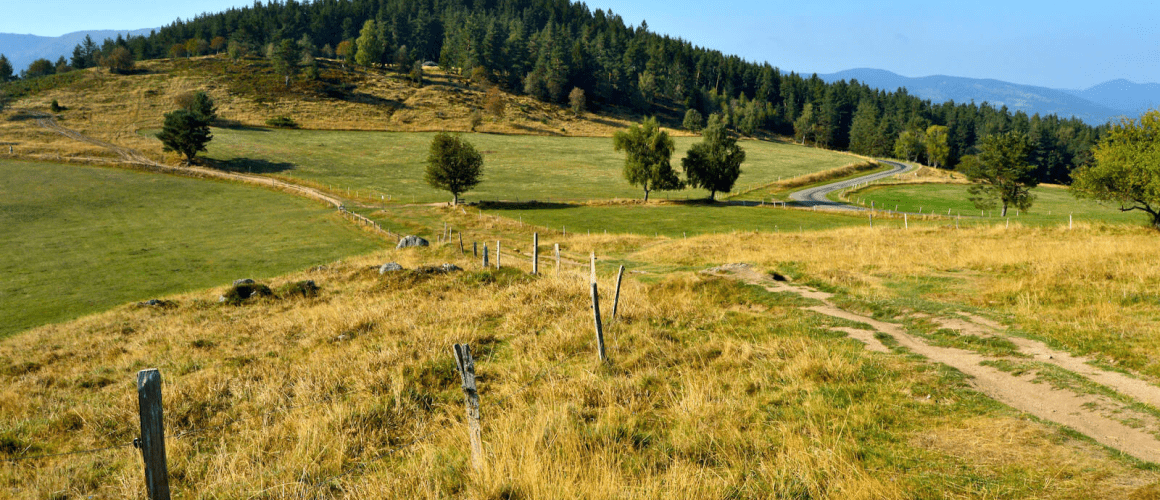 randonnée circuit historique Hohrodberg le linge