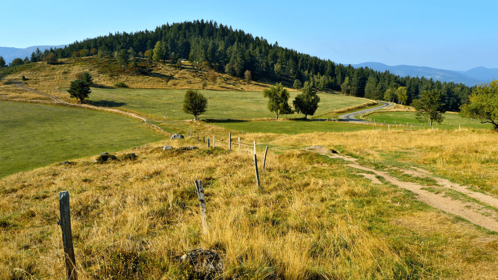 randonnée circuit historique Hohrodberg le linge