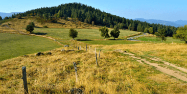 randonnée circuit historique Hohrodberg le linge