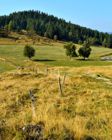 randonnée circuit historique Hohrodberg le linge