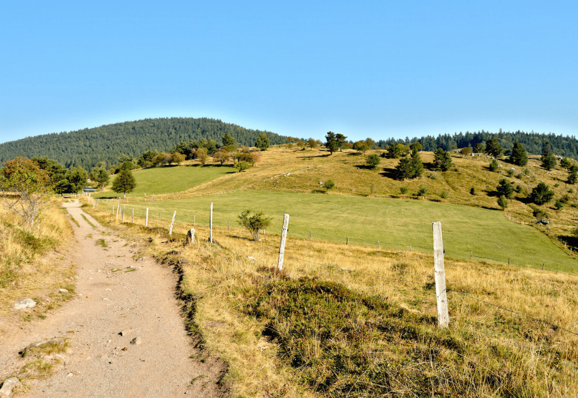 Vue panoramique du linge