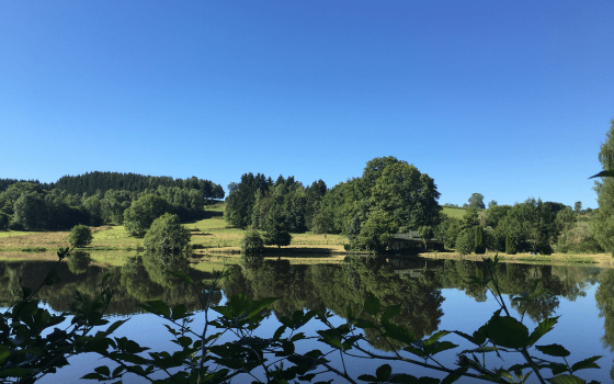 Etang du Breuchot