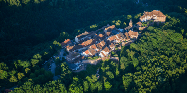 Vosges du nord