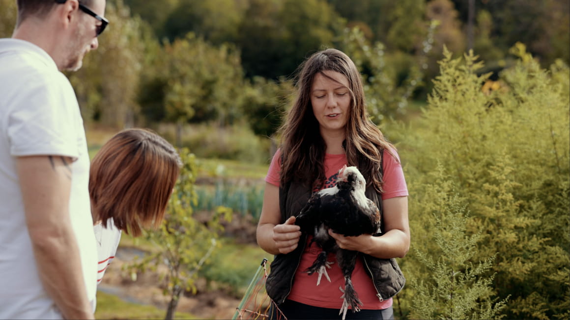 Rencontre avec les animaux dans l'exploitation agricole La Coquille Verte