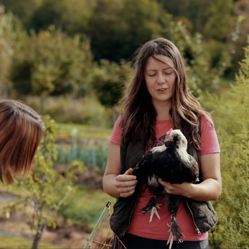 Rencontre avec les animaux dans l'exploitation agricole La Coquille Verte