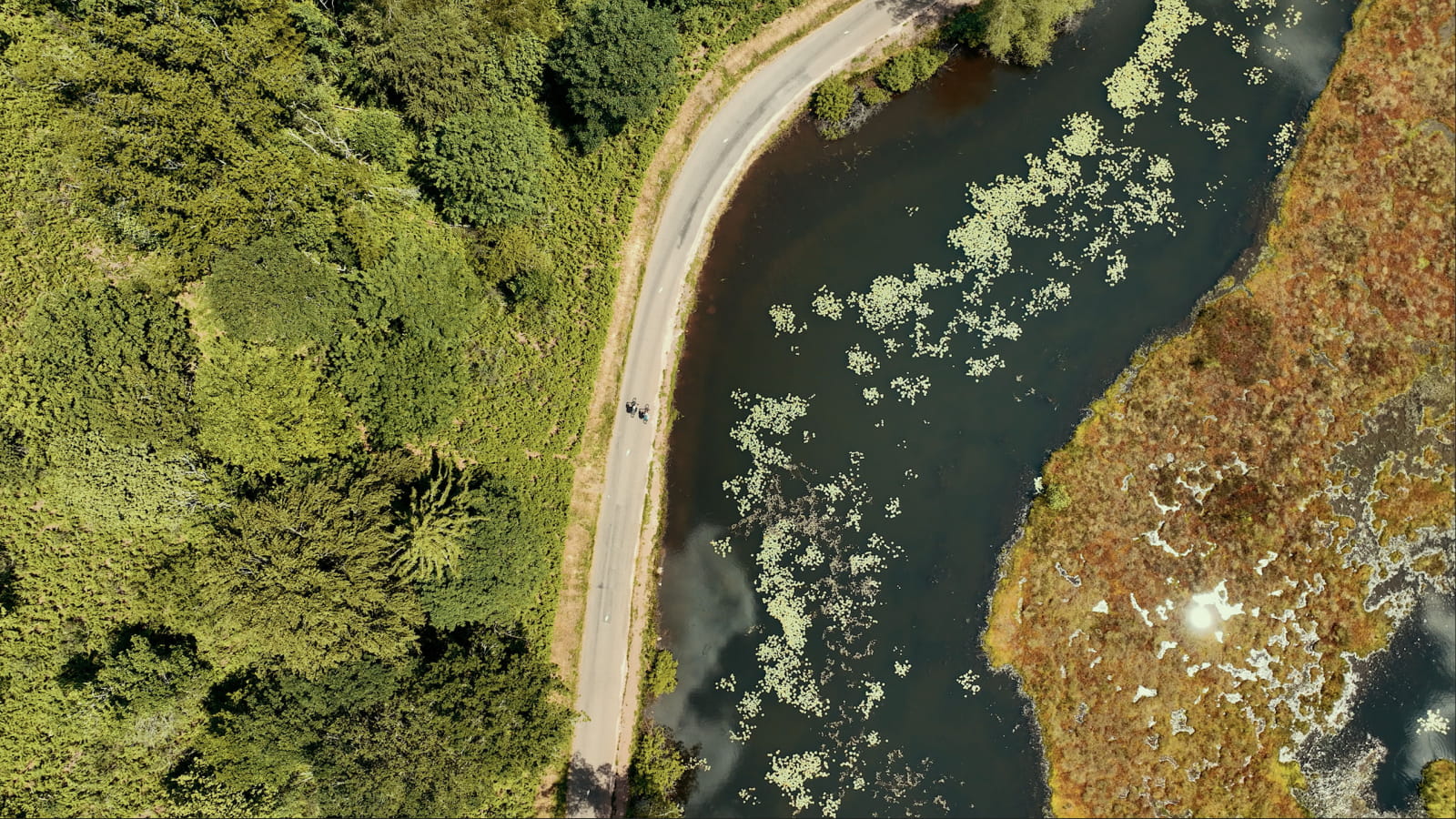 Vue aérienne d'un étang avec un chemin le longeant