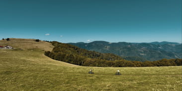 VTTistes se baladant au sommet d'une montagne