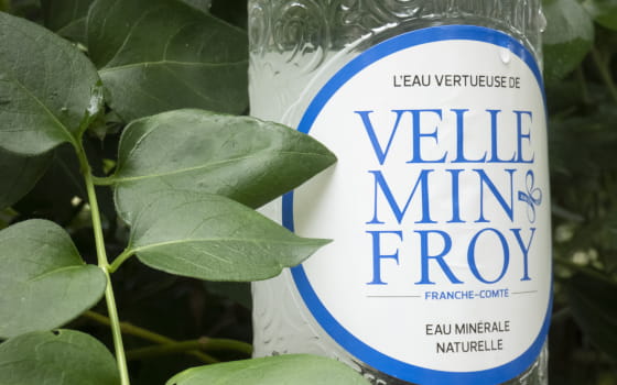 Eau minérale naturelle de Velleminfroy