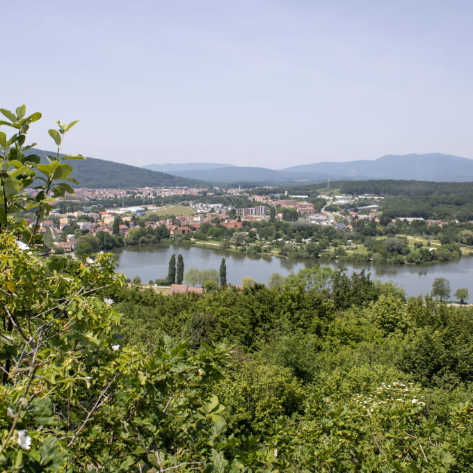 étang des forges