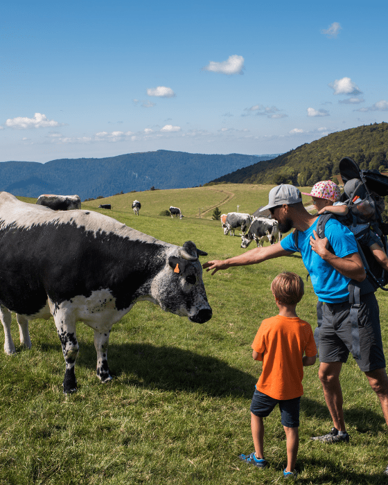 l'été en famille dans la Massif des Vosges