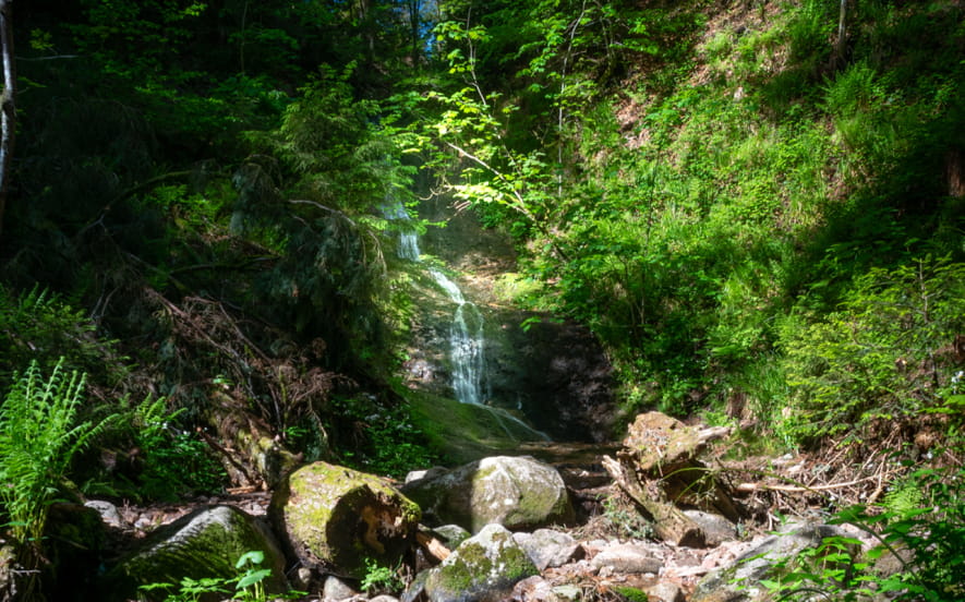 Le saut de la bourrique