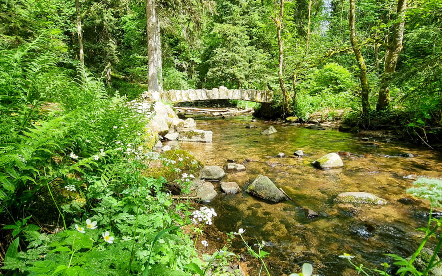 Les îles Marie-Louise
