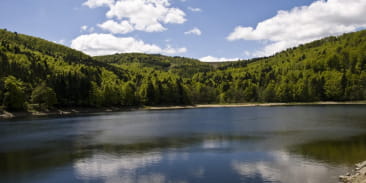 Source de la Lauch