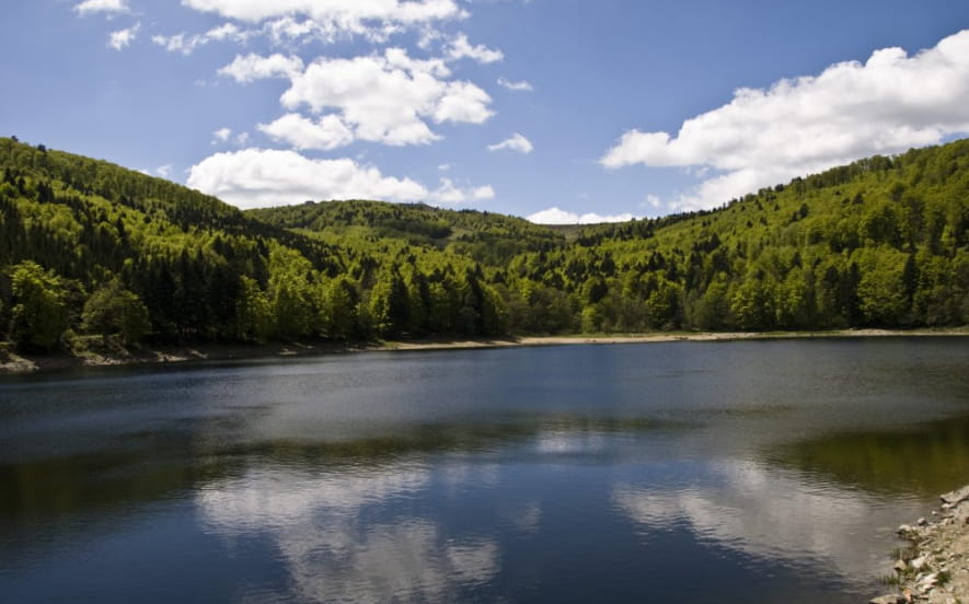 Source de la Lauch