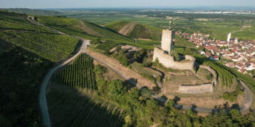 Le château du Wineck