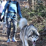 Cani-rando - Énergie Canine