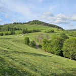 Balade famille - Circuit du Pic des Corbeaux