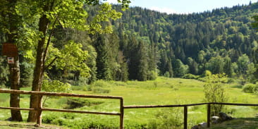 L’étang du Devin