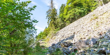 La réserve biologique intégrale du Kertoff