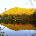 Roulottes du camping du Muhlenbach