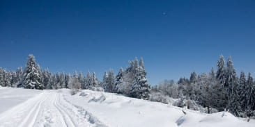 Ski nordique le Haut du Tôt