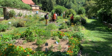 Ancien jardin du presbytère de la commune de Murbach